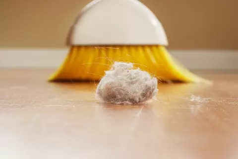 15291