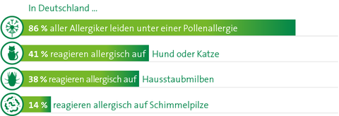grafik