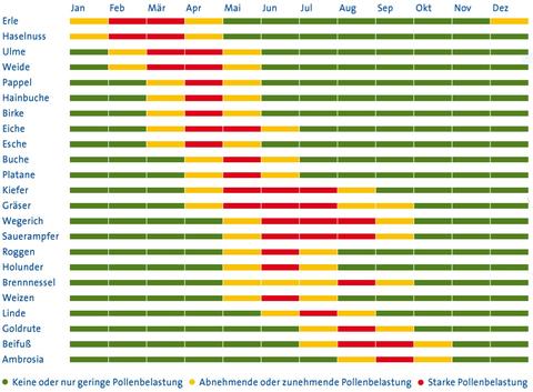 Pollenflugkalender